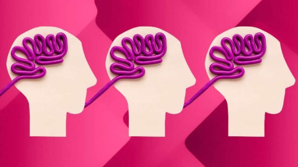 cervelli content marketing