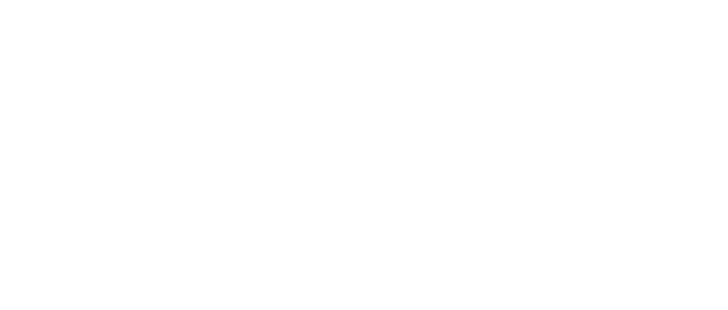 ROI Speaker+ - Logo verticale RGB